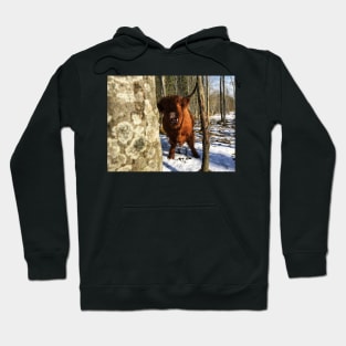 Scottish Highland Cattle Cow 2346 Hoodie